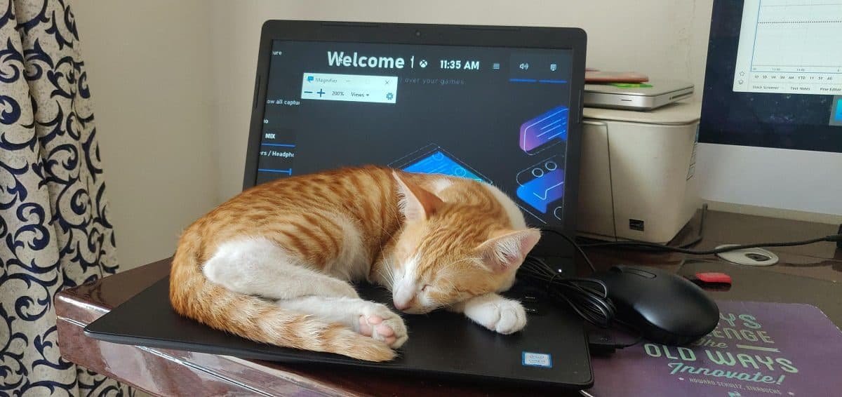Il gatto passeggia o si addormenta sulla tastiera del PC? Hai bisogno di PawSense