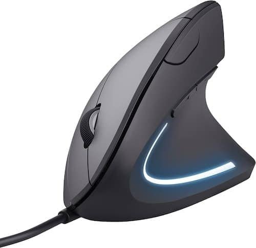 mouse